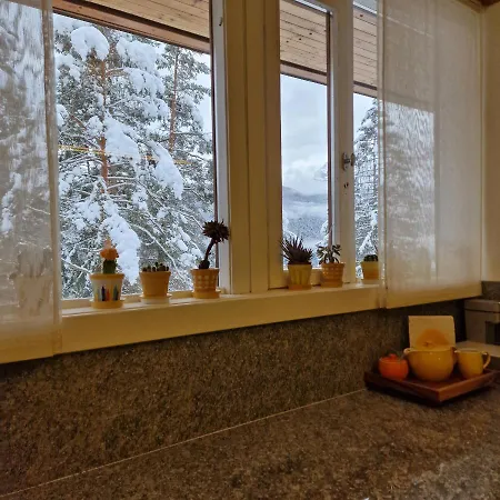 Yvonne Vila Borca di Cadore